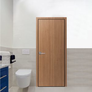 Cửa nhựa ABS