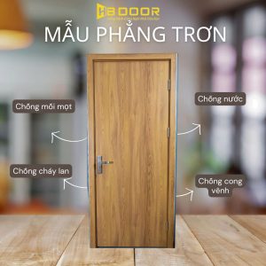 Mẫu cửa phẳng trơn